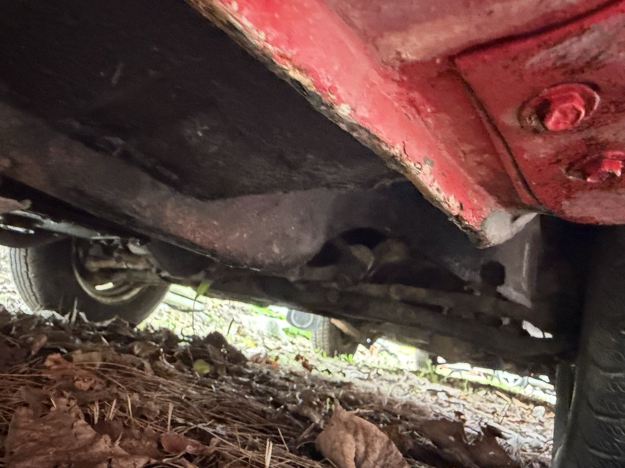 IMG_4943 – grande.jpeg