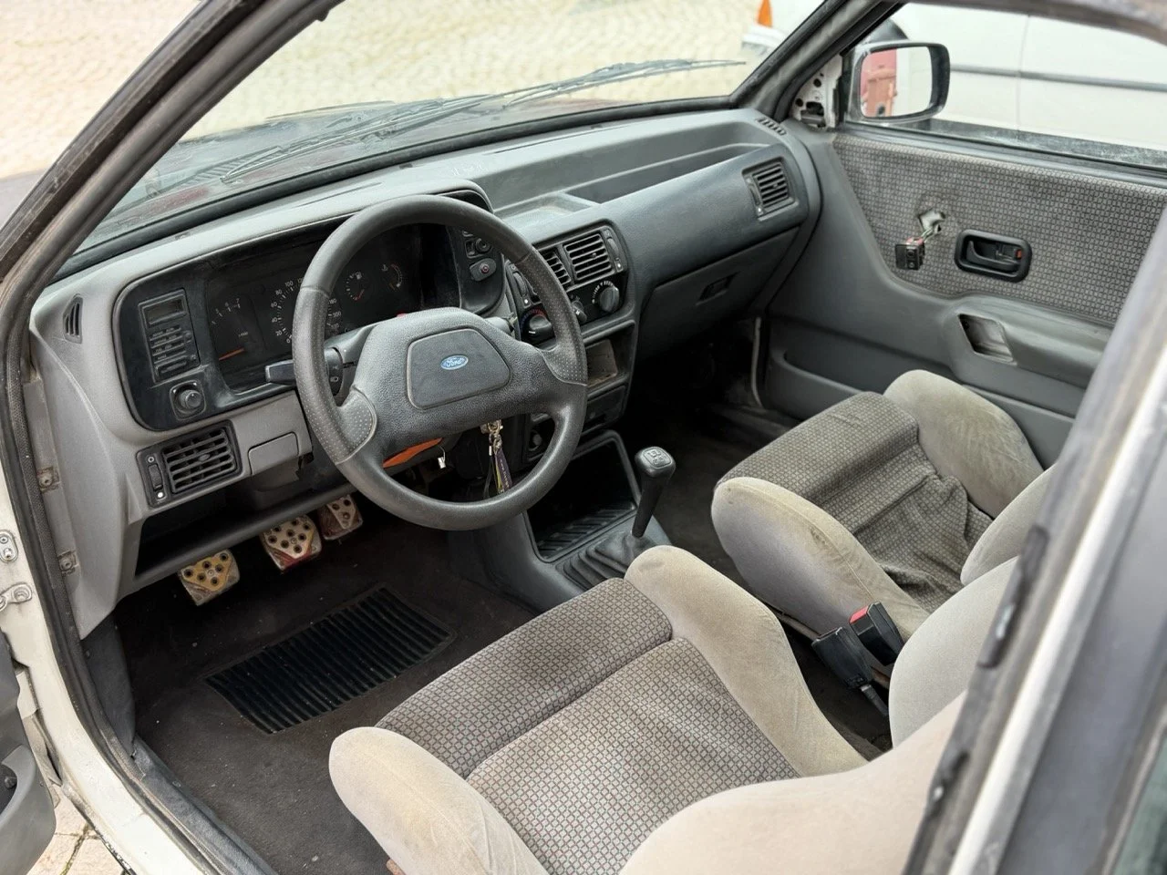 IMG_1263 – grande.jpeg