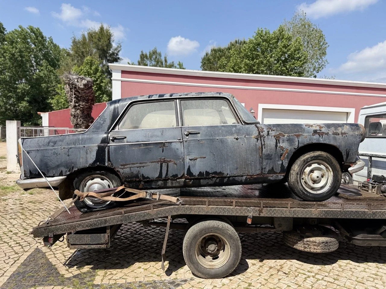 IMG_3459 – grande.jpeg