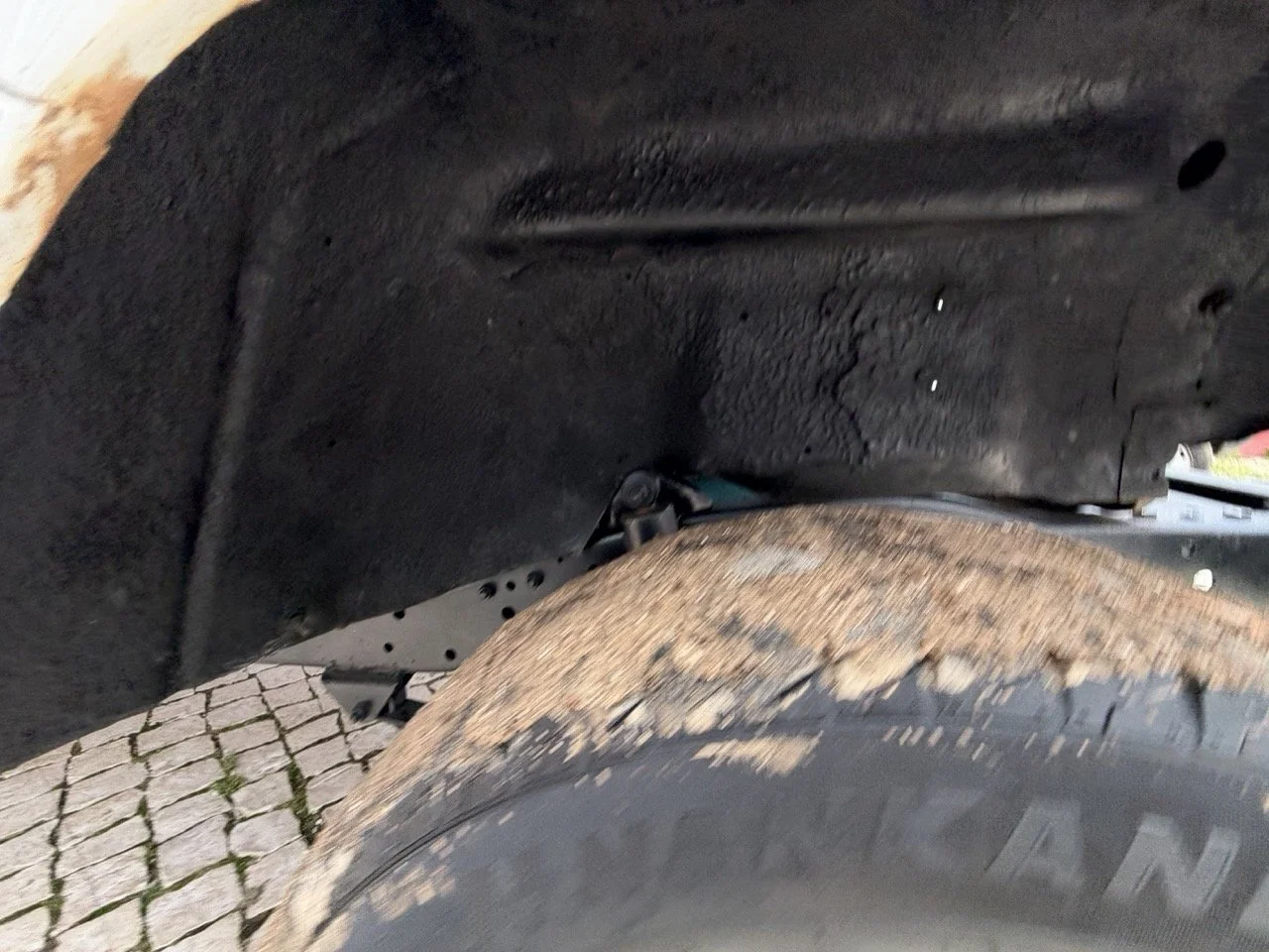 IMG_3932 – grande.jpeg