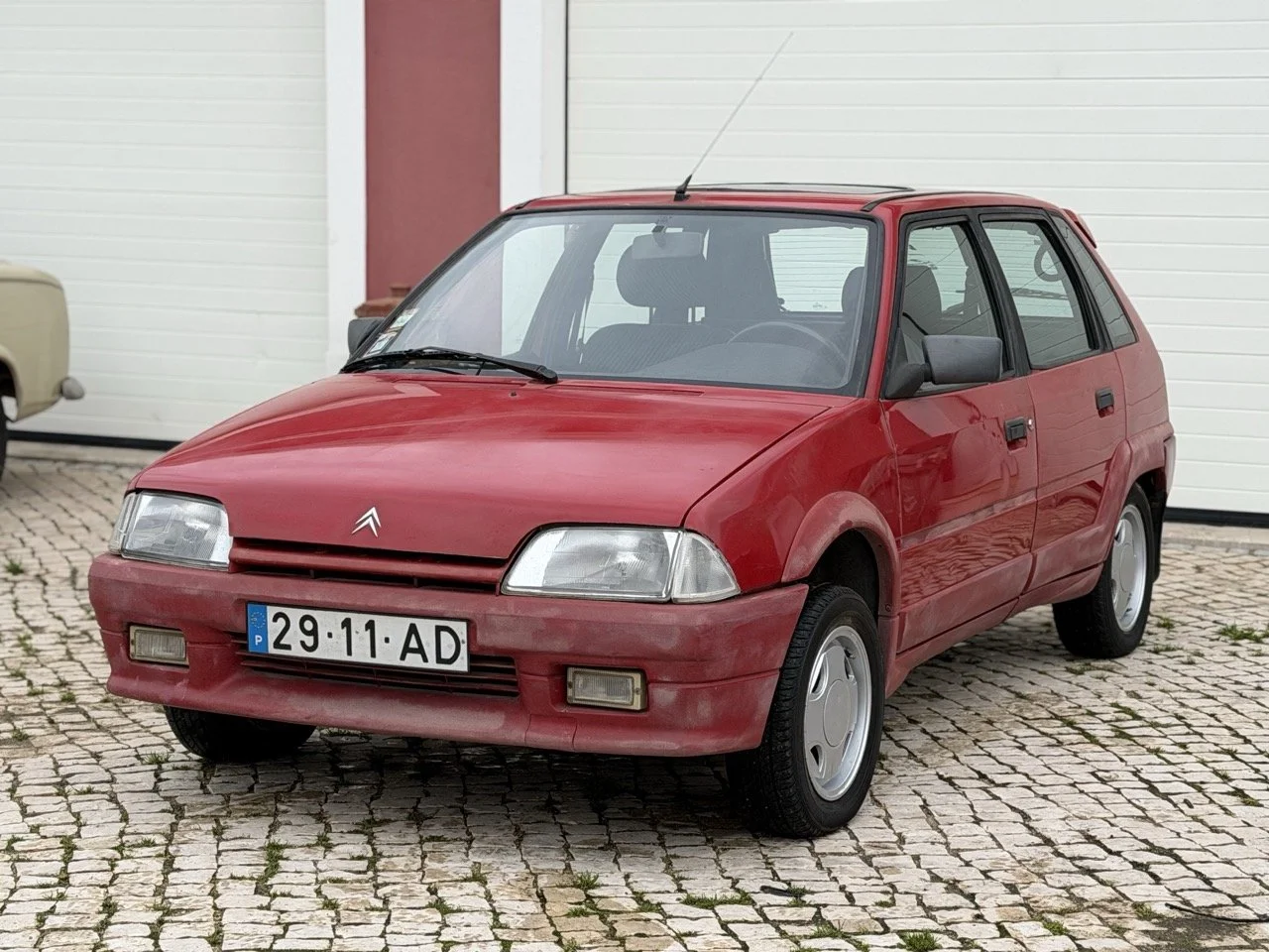 IMG_0356 – grande.jpeg