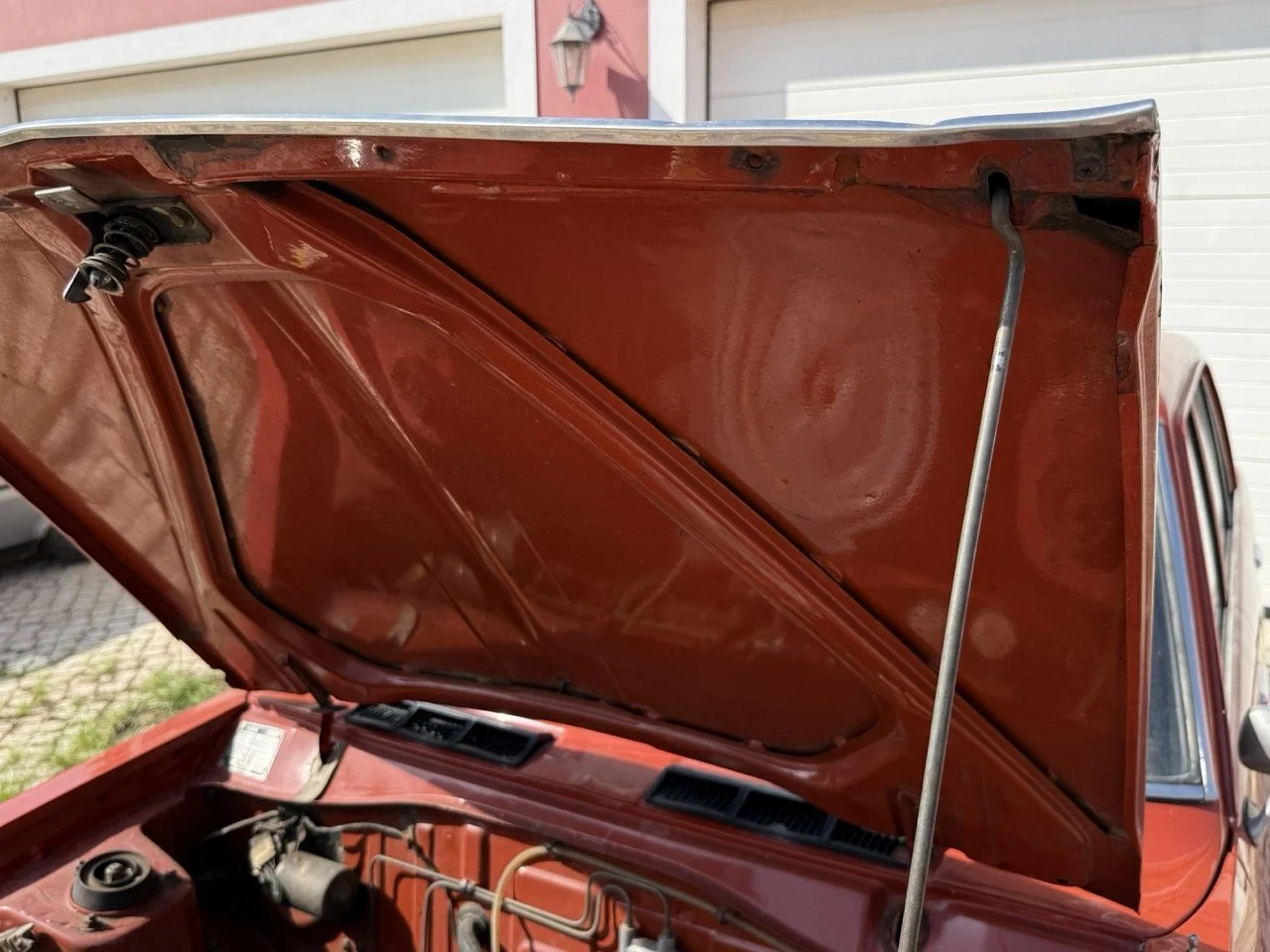 IMG_3620 – grande.jpeg