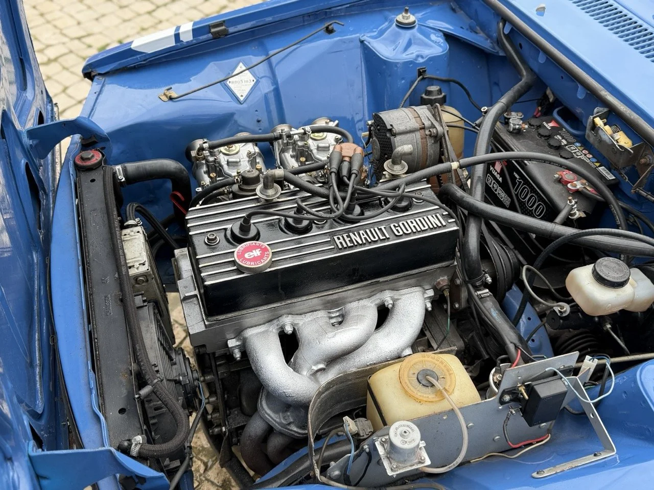 IMG_6006 – grande.jpeg