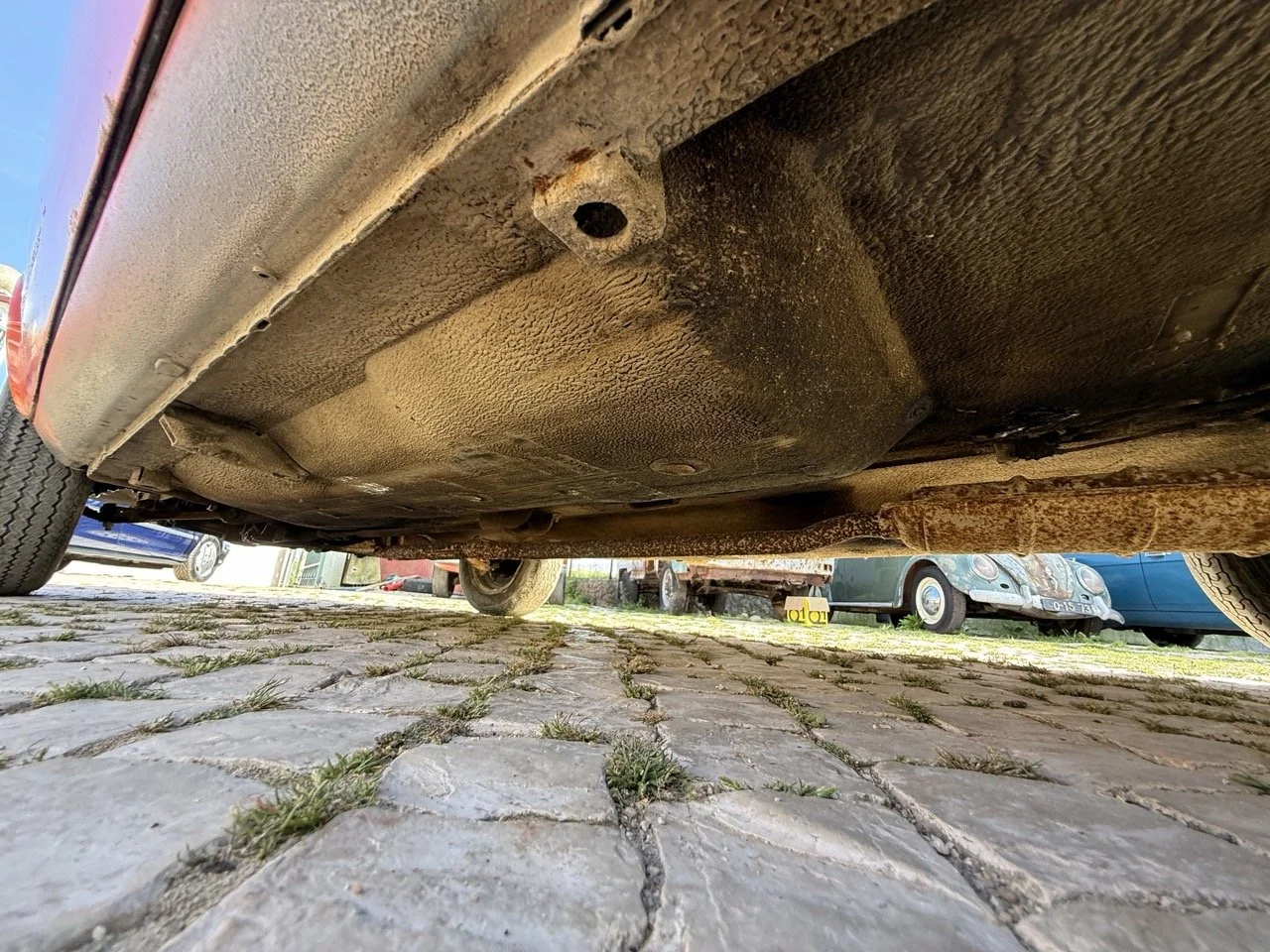 IMG_2362 – grande.jpeg