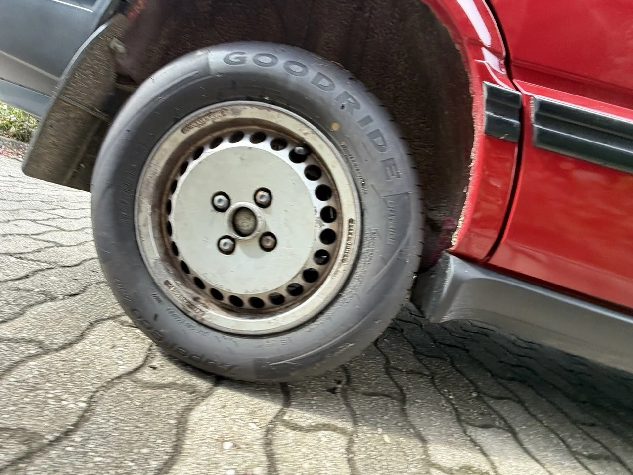 IMG_3268 – grande.jpeg