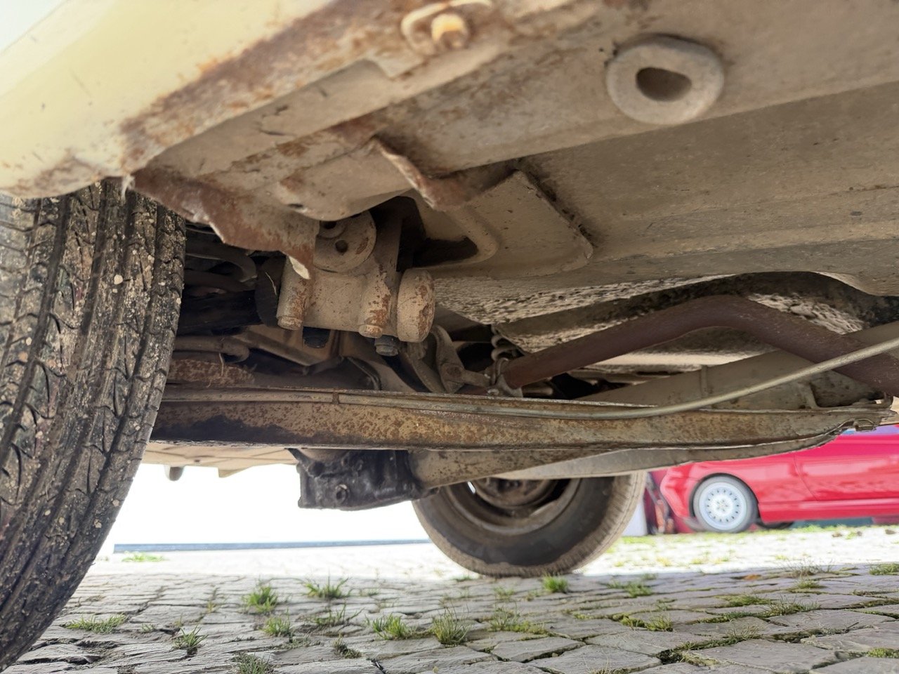 IMG_6752 – grande.jpeg