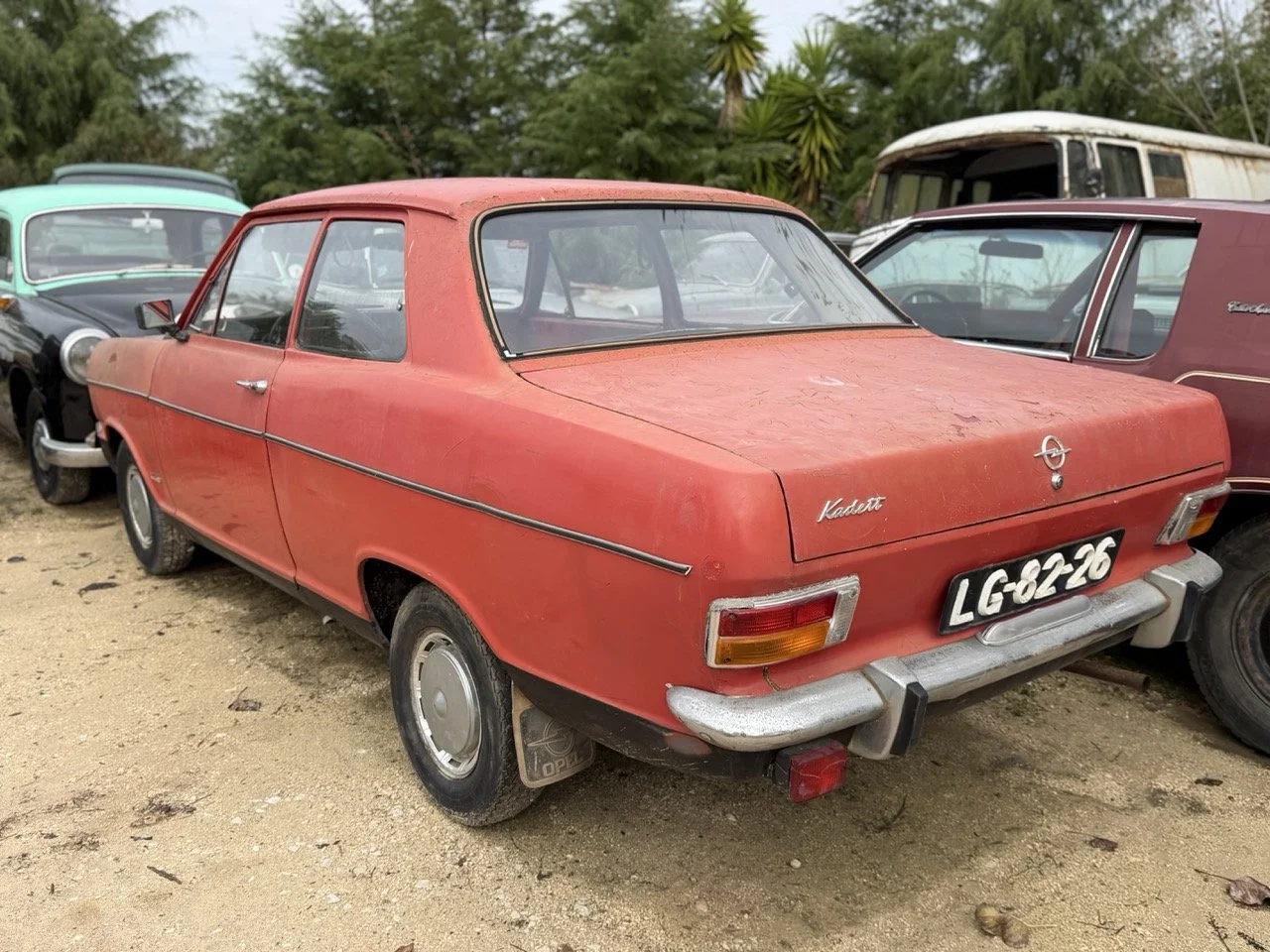 IMG_4958 – grande.jpeg