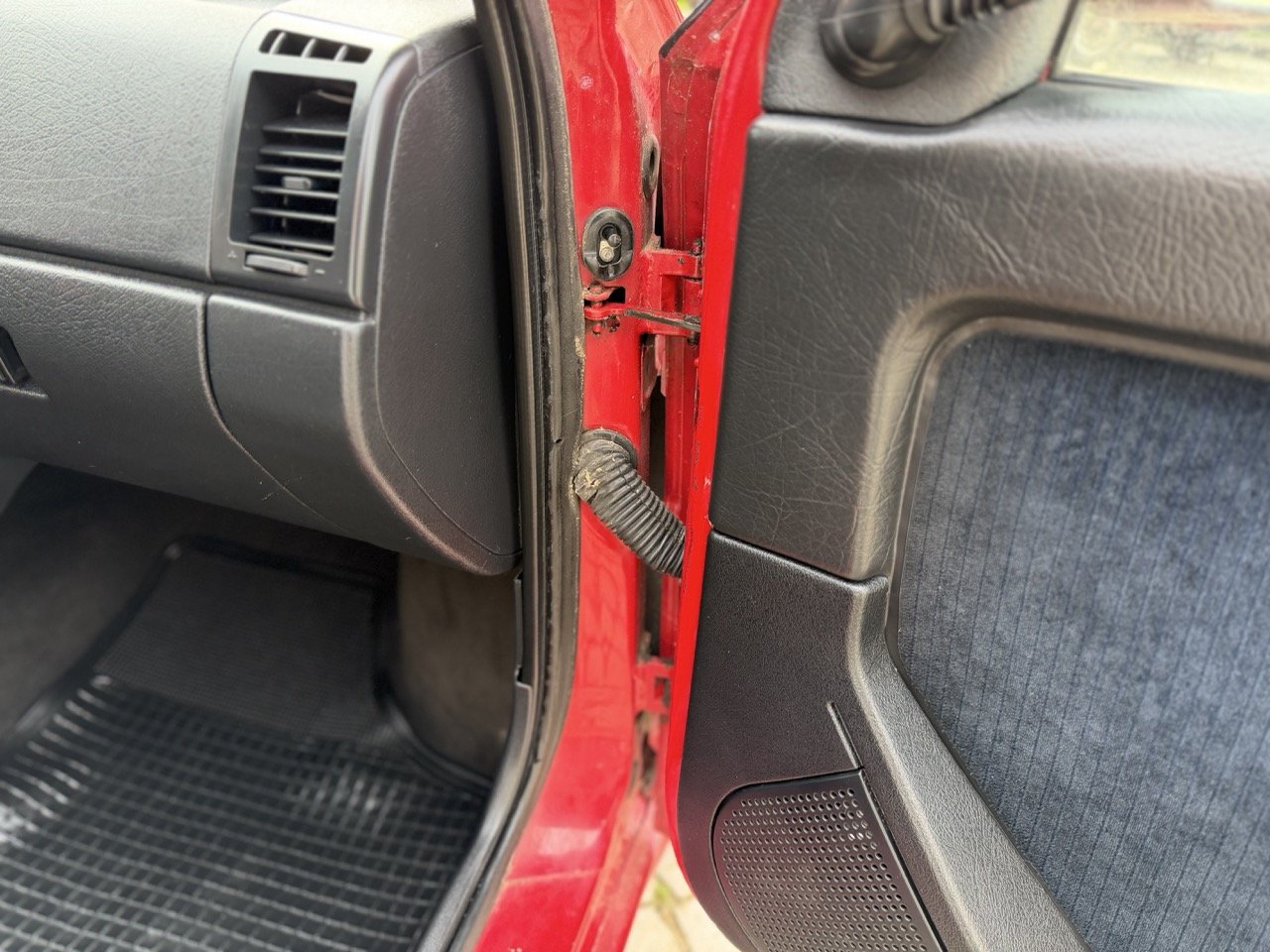 IMG_0393 – grande.jpeg