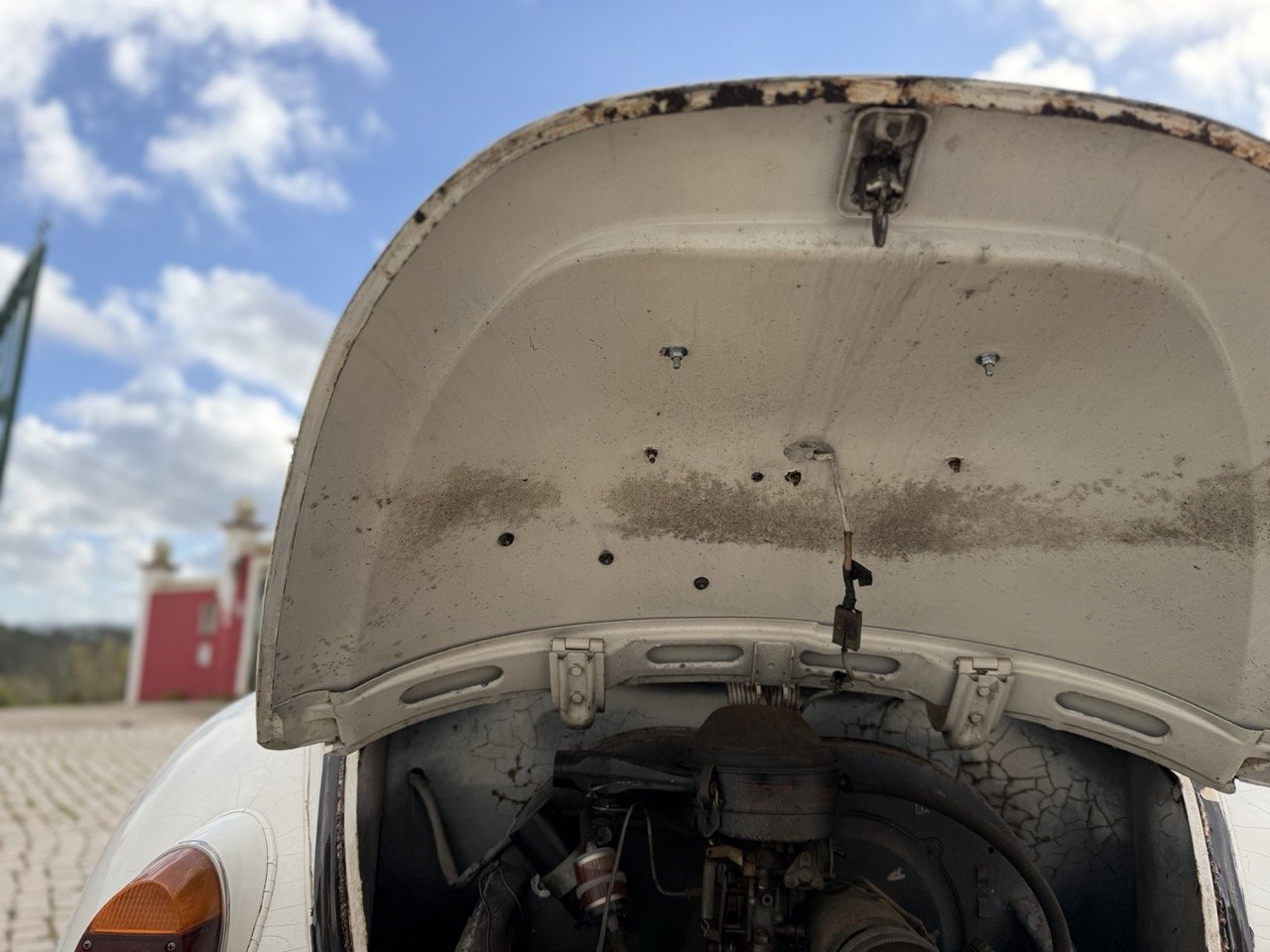 IMG_8646 – grande.jpeg