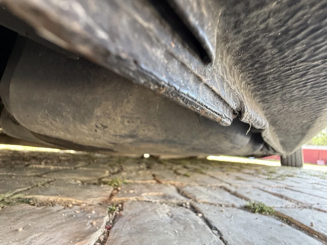 IMG_2632 – grande.jpeg