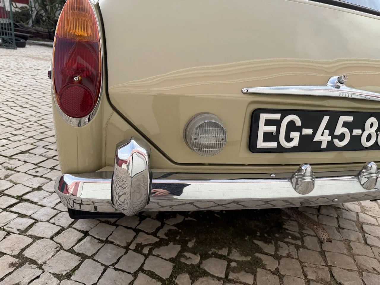 IMG_4093 – grande.jpeg