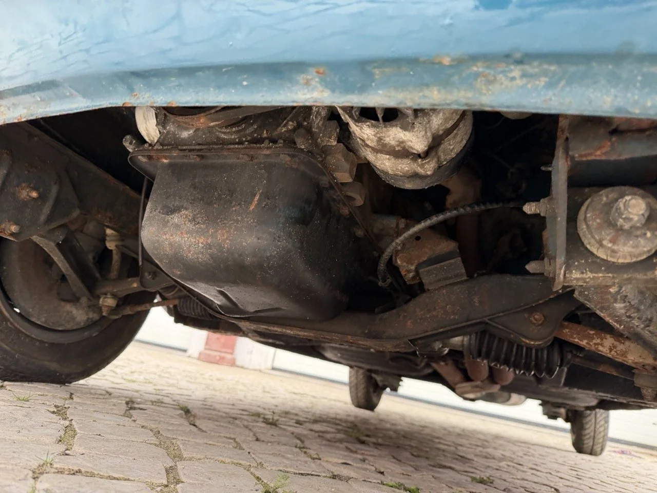 IMG_6361 – grande.jpeg