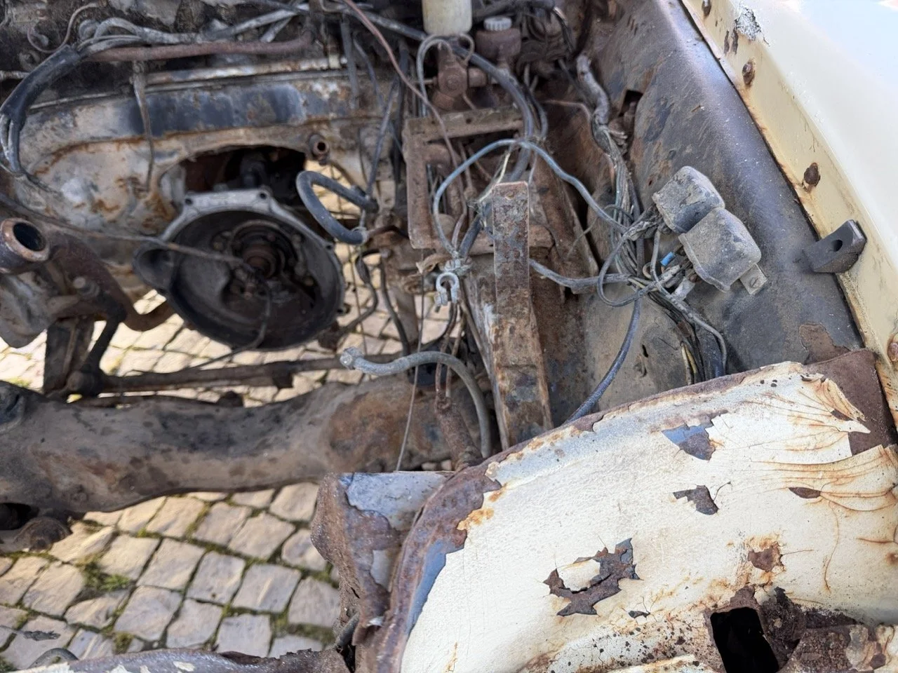 IMG_7106 – grande.jpeg