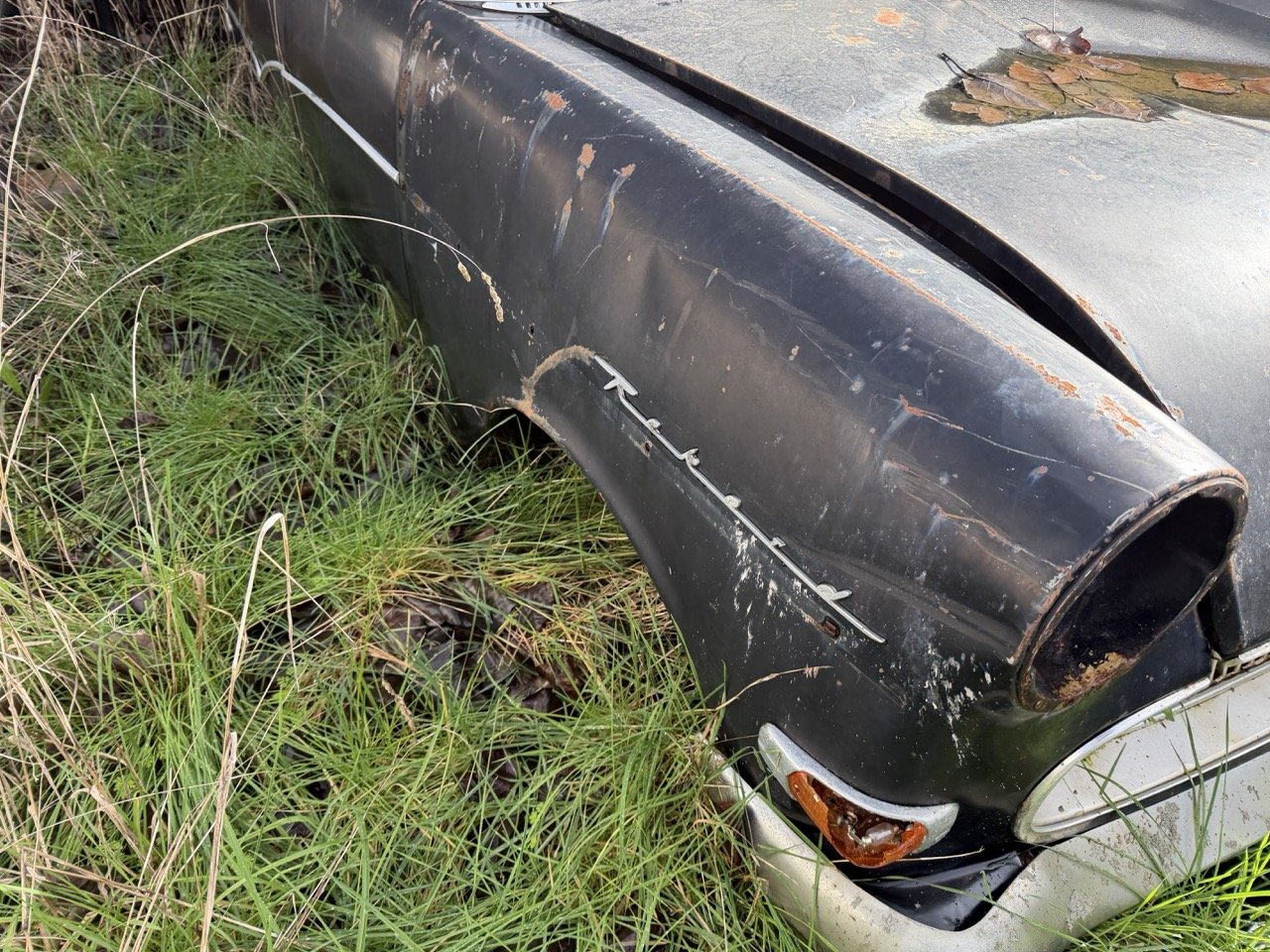 IMG_5036 – grande.jpeg