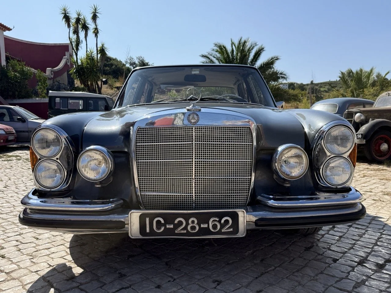 IMG_4795 – grande.jpeg