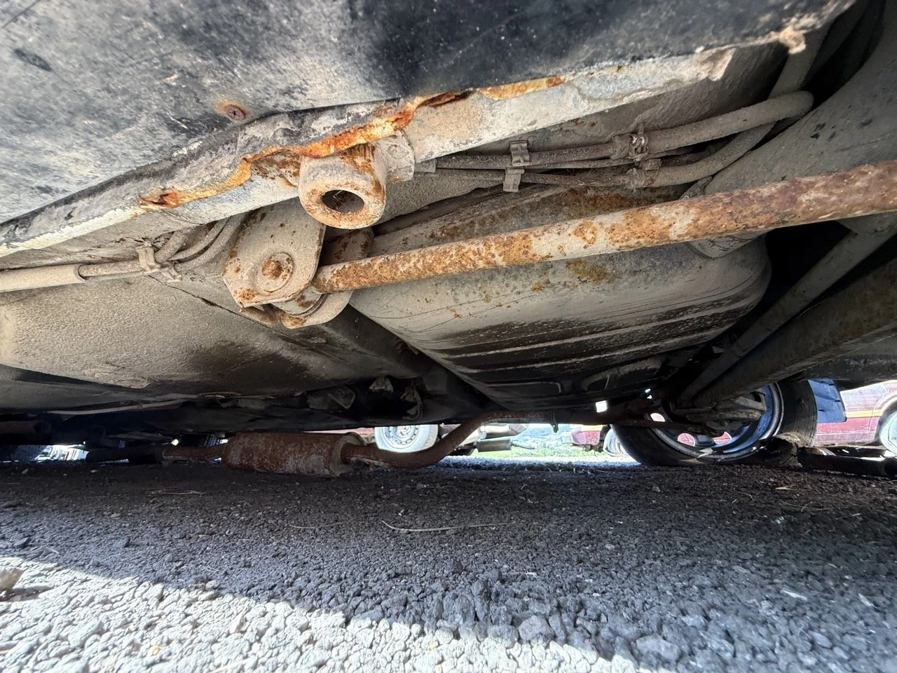 IMG_2949 – grande.jpeg