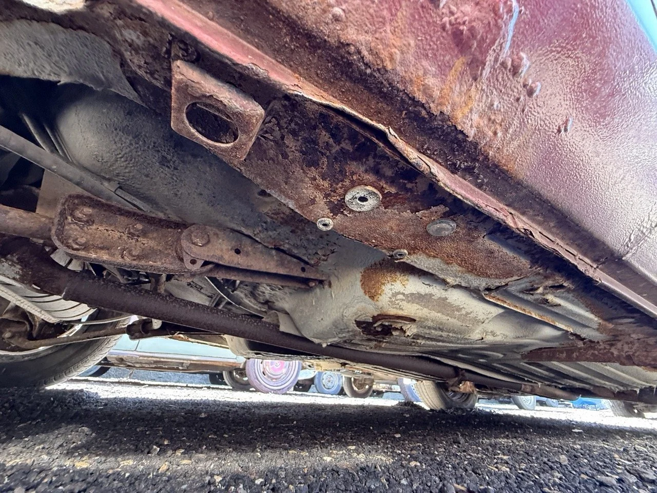 IMG_0970 – grande.jpeg