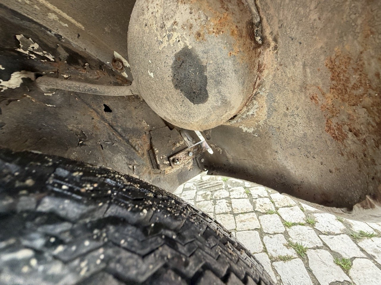 IMG_8678 – grande.jpeg