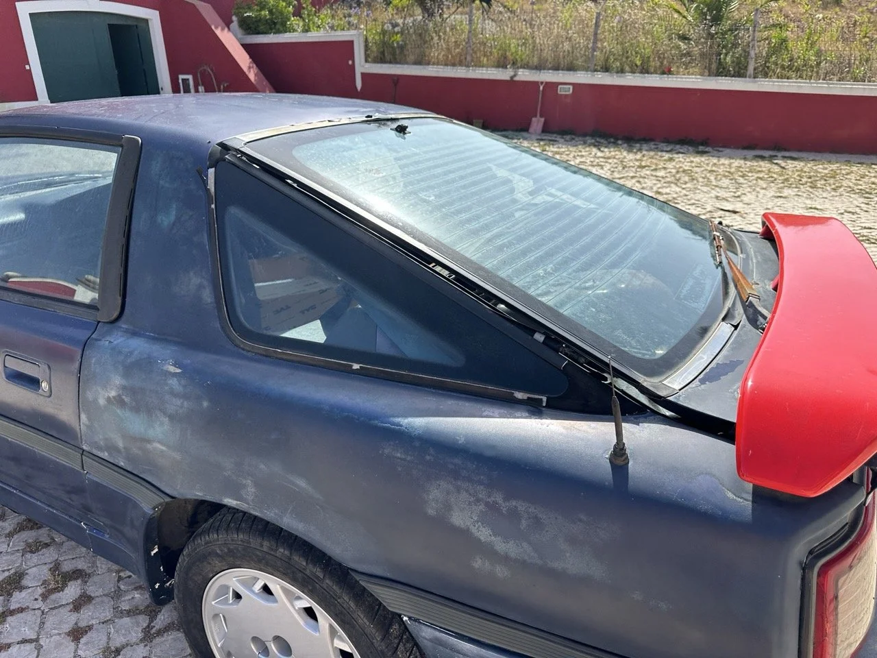 IMG_7233 – grande.jpeg