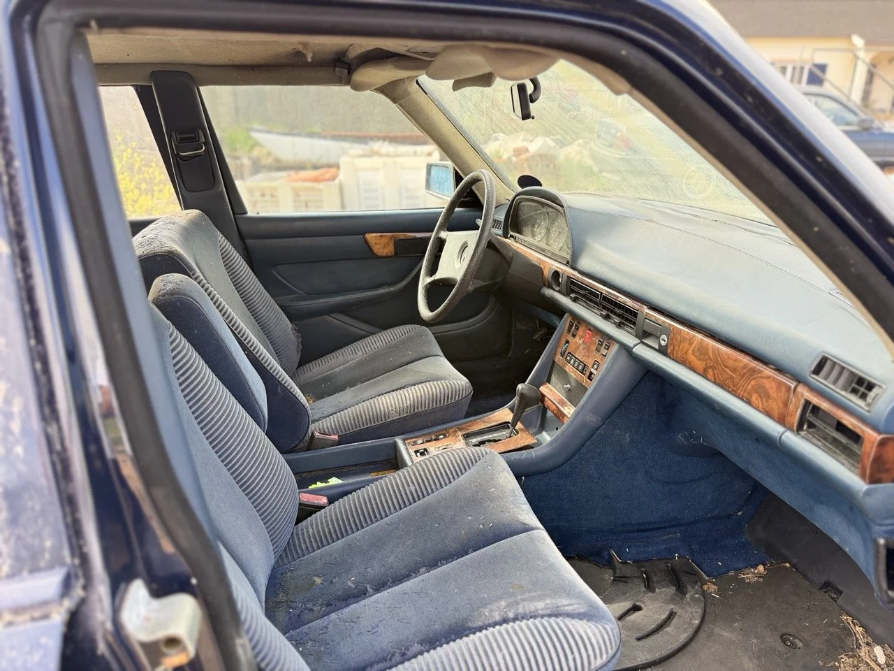 IMG_3379 – grande.jpeg