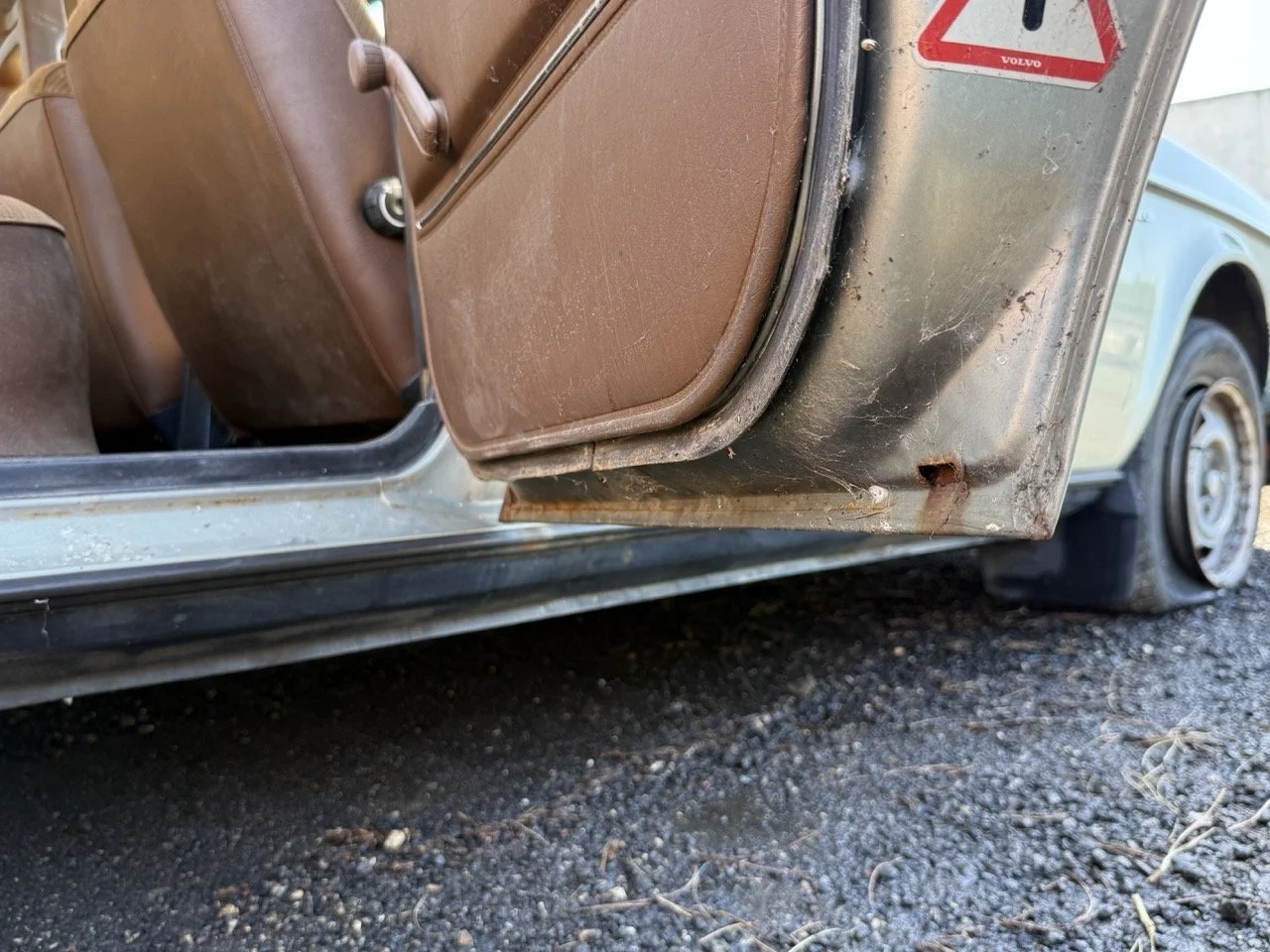 IMG_1212 – grande.jpeg