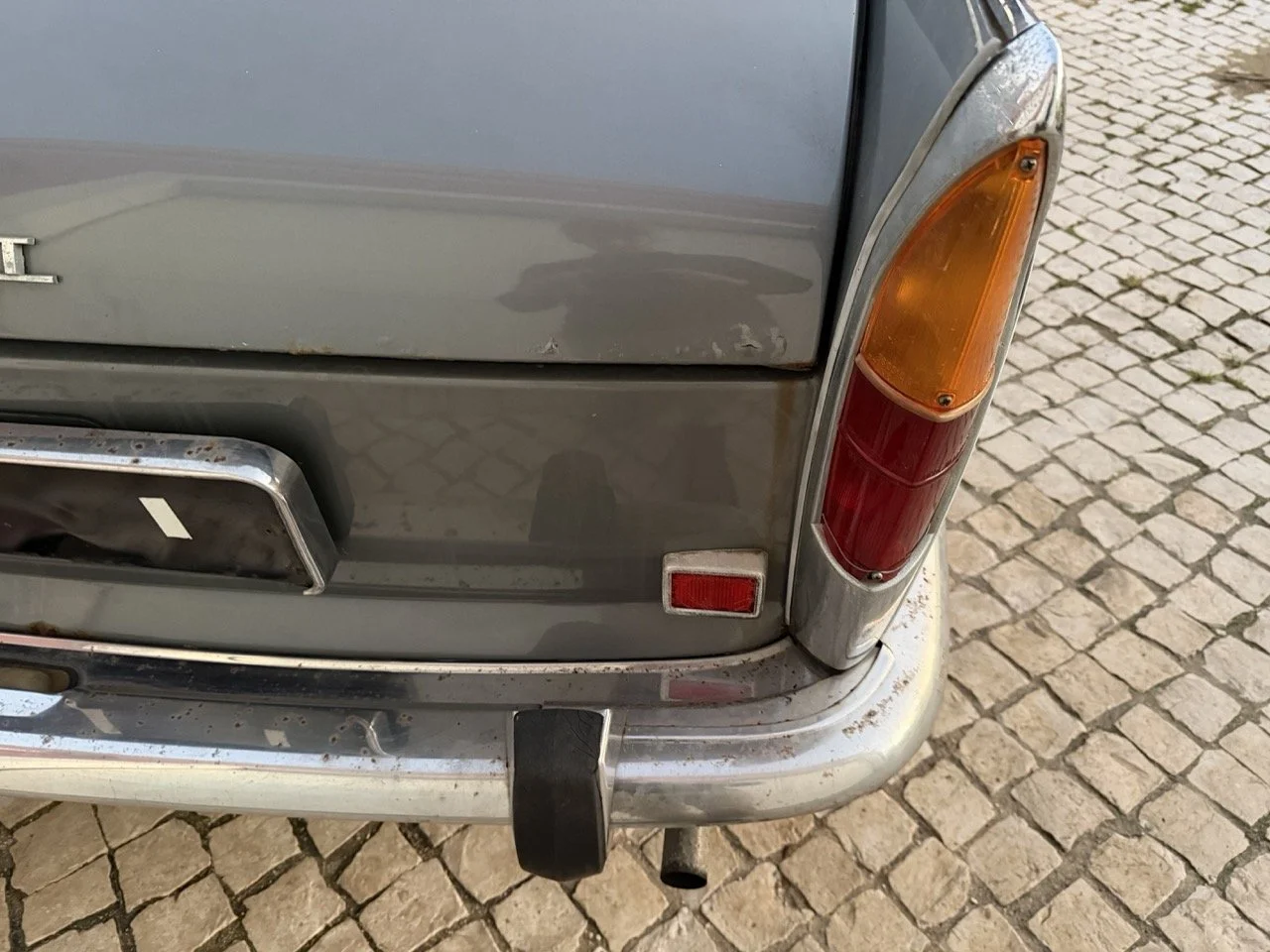 IMG_7526 – grande.jpeg