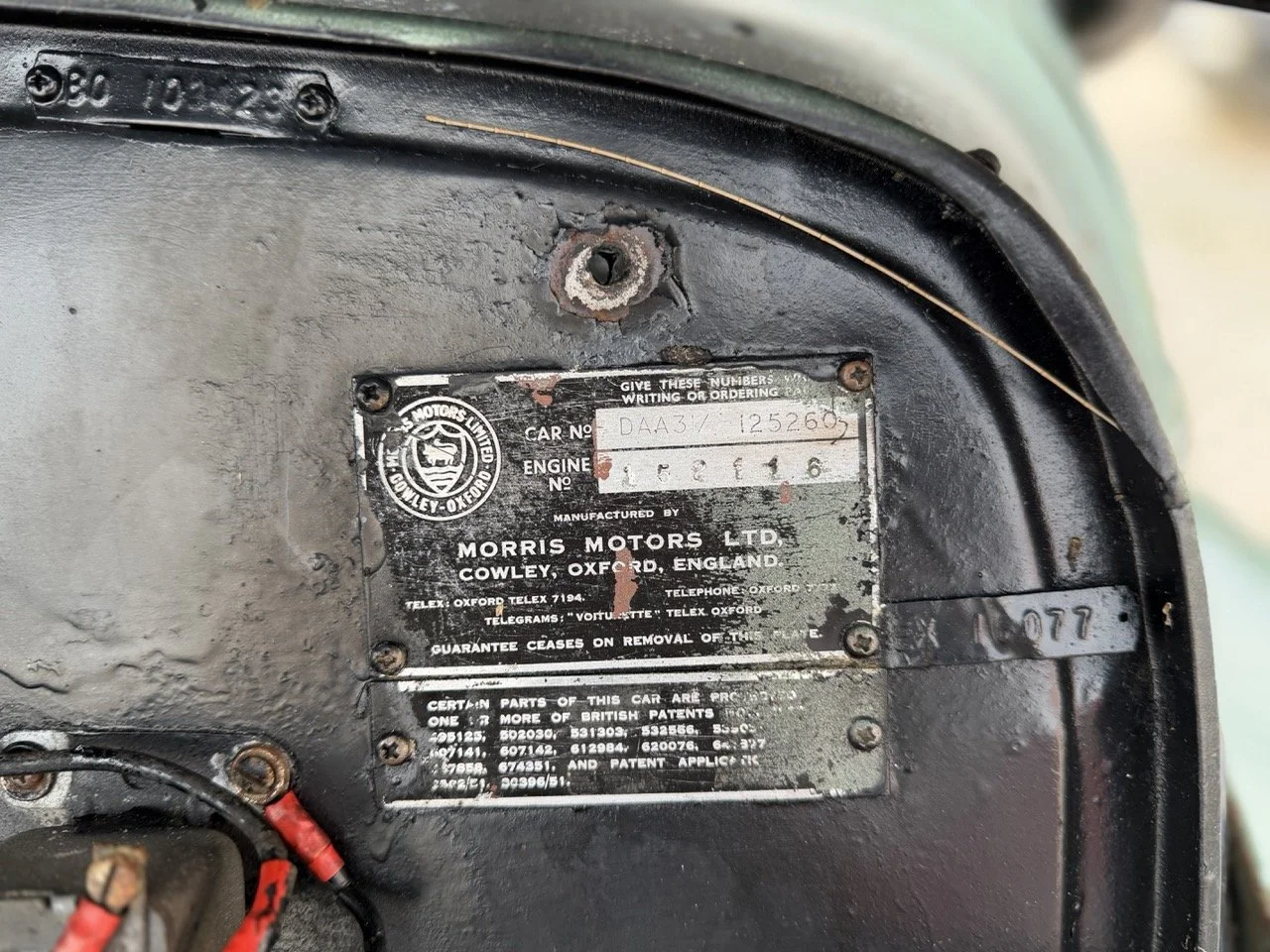 IMG_9836 – grande.jpeg