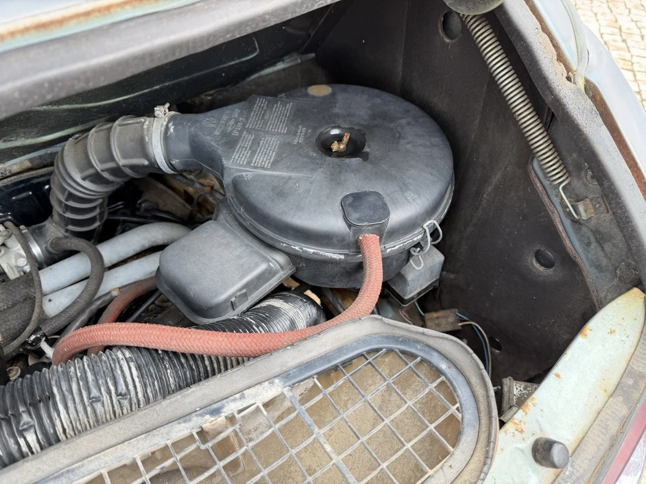 IMG_4794 – grande.jpeg