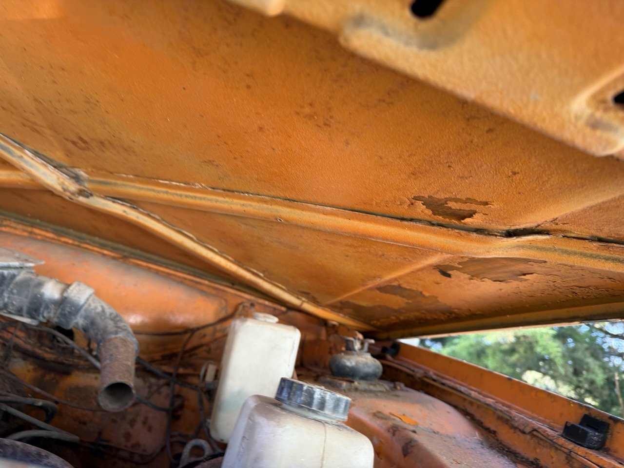 IMG_7725 – grande.jpeg