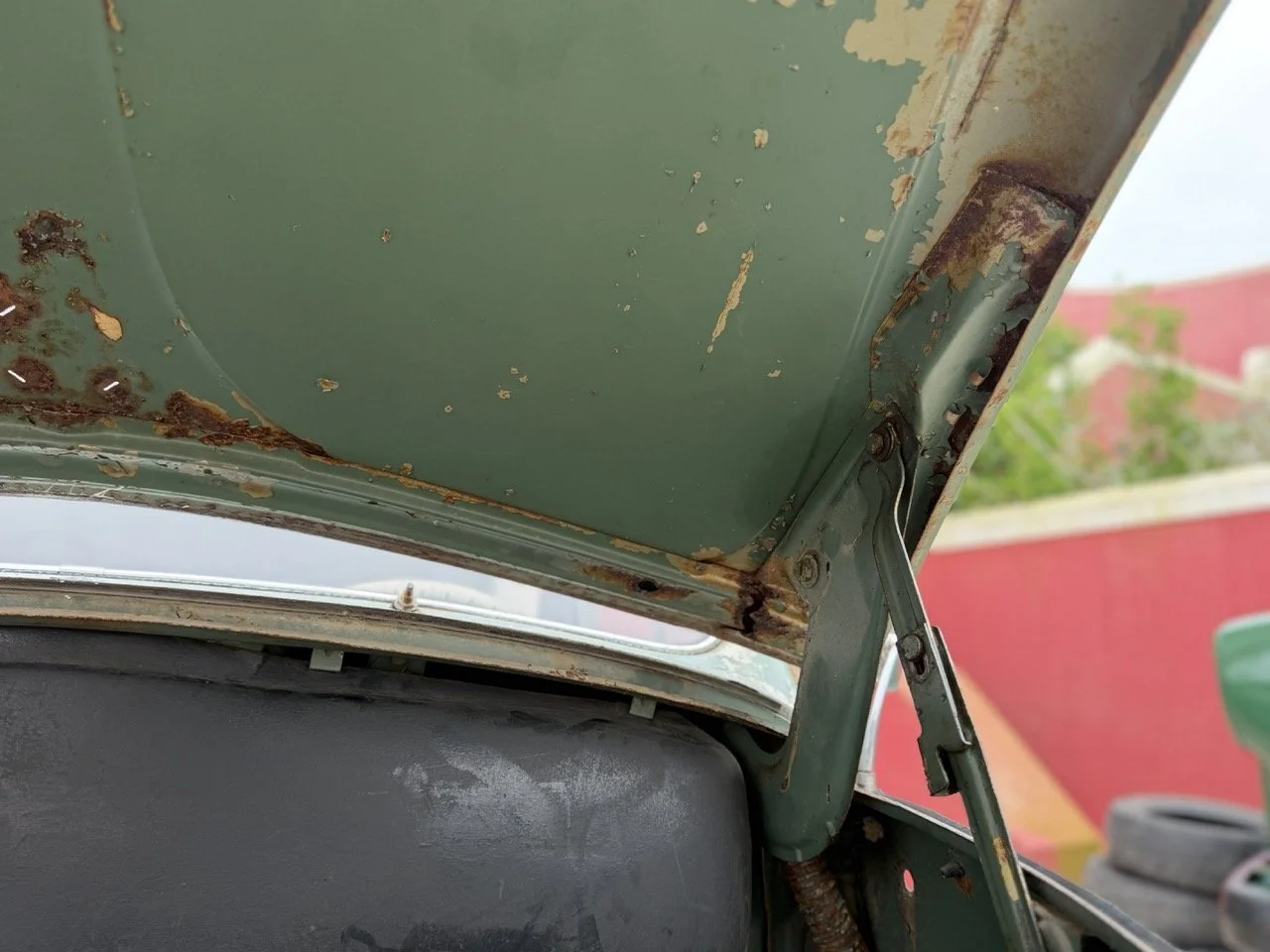 IMG_1185 – grande.jpeg