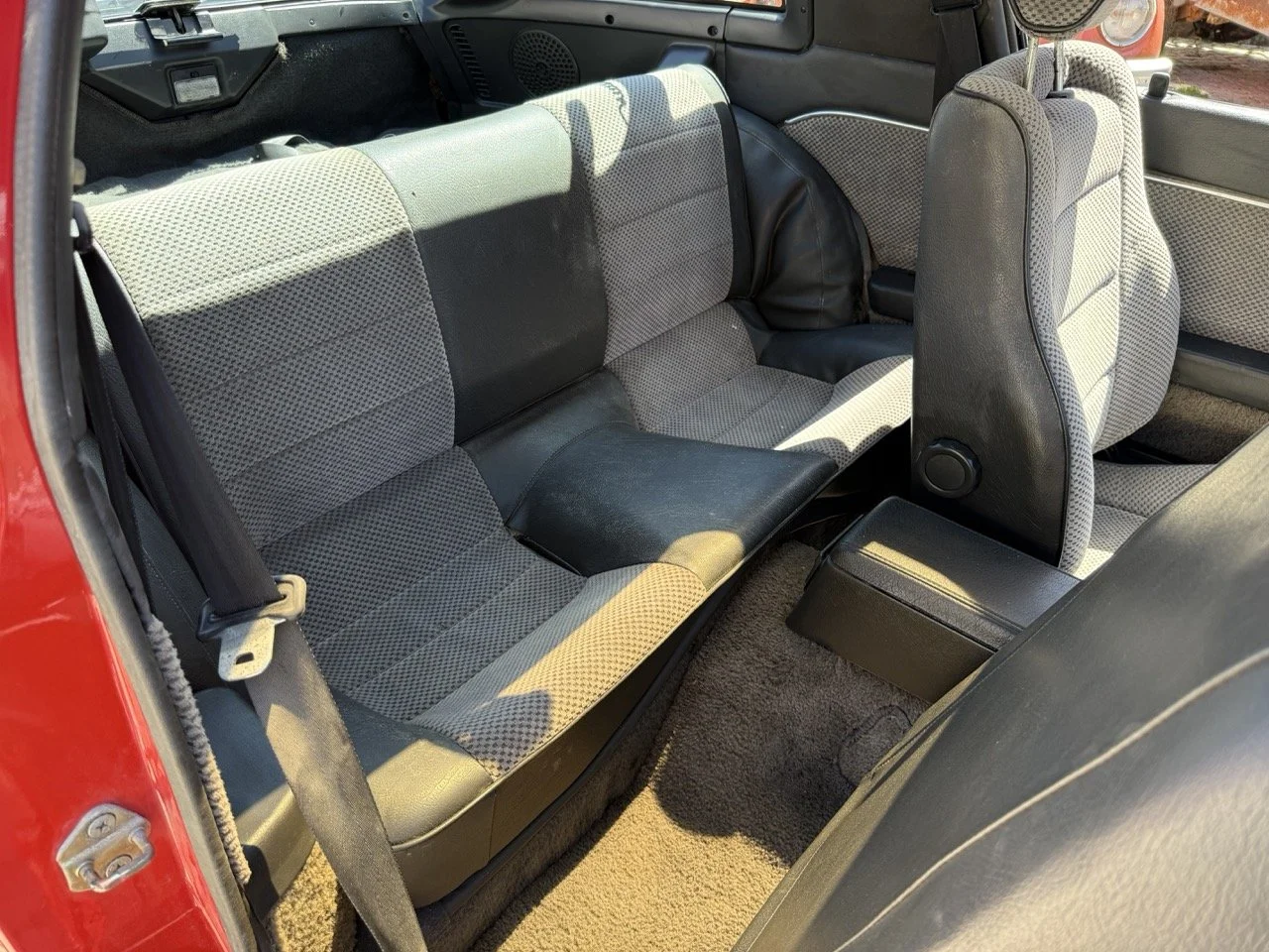 IMG_2040 – grande.jpeg