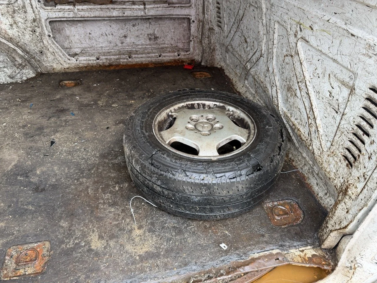 IMG_9525 – grande.jpeg