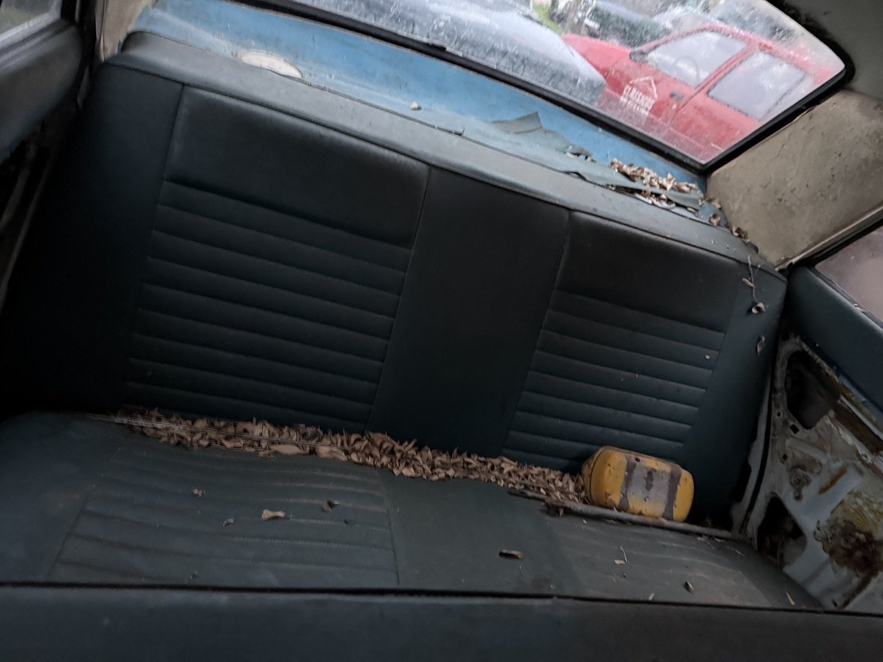 IMG_0179 – grande.jpeg