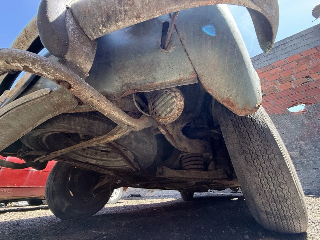 IMG_0899 – grande.jpeg