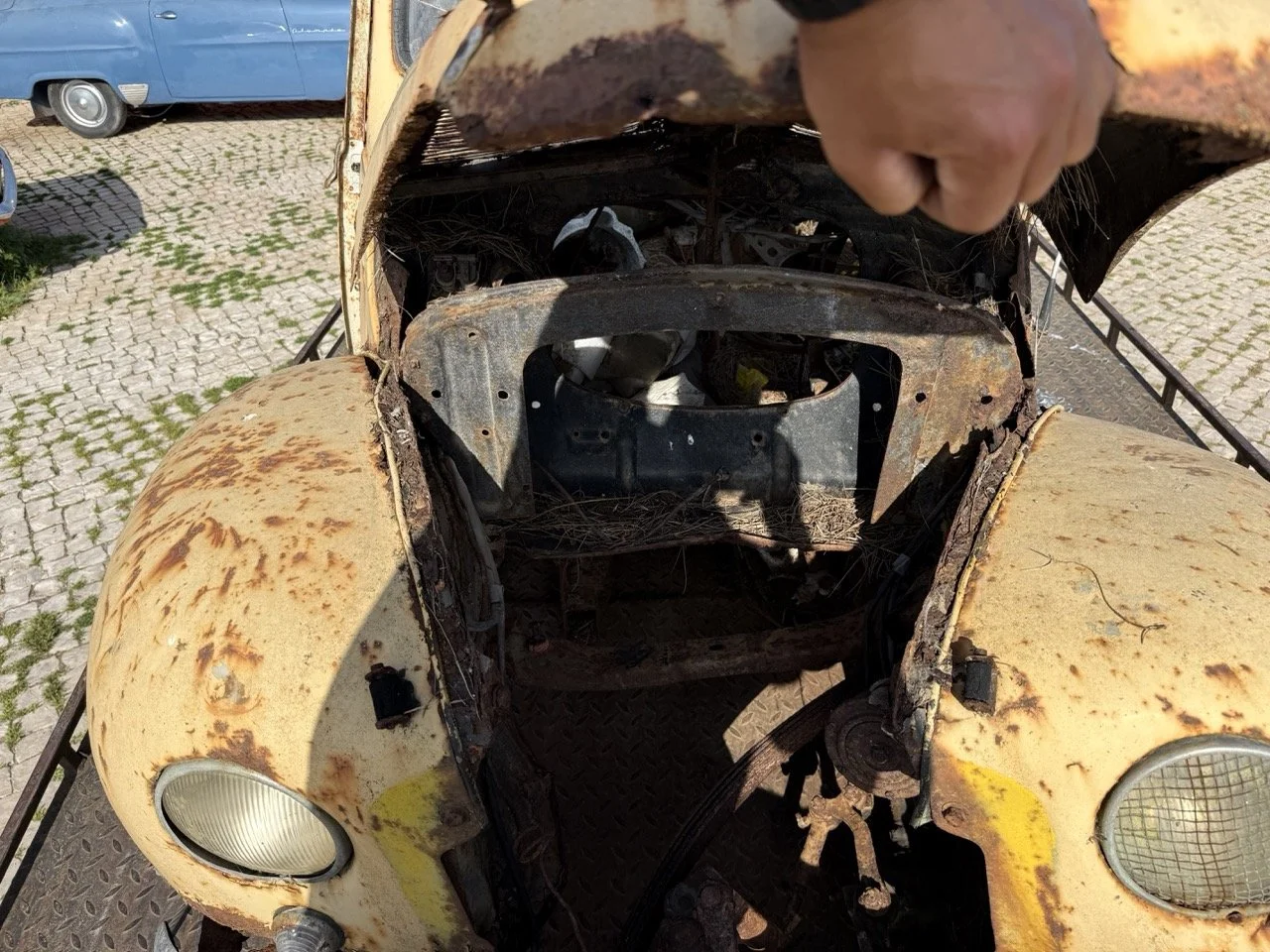 IMG_3177 – grande.jpeg