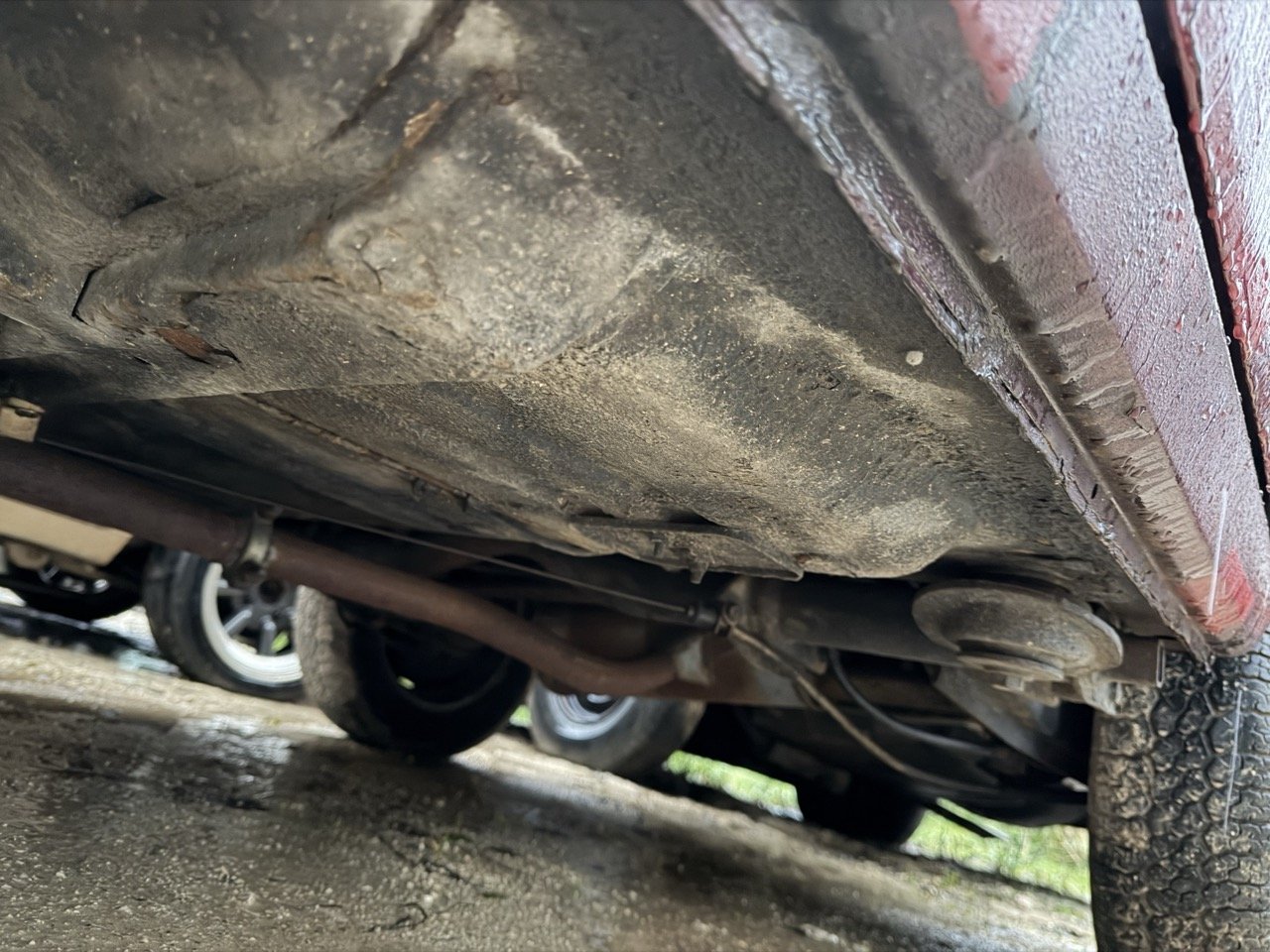 IMG_0289 – grande.jpeg