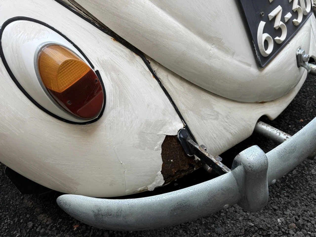 IMG_0699 – grande.jpeg