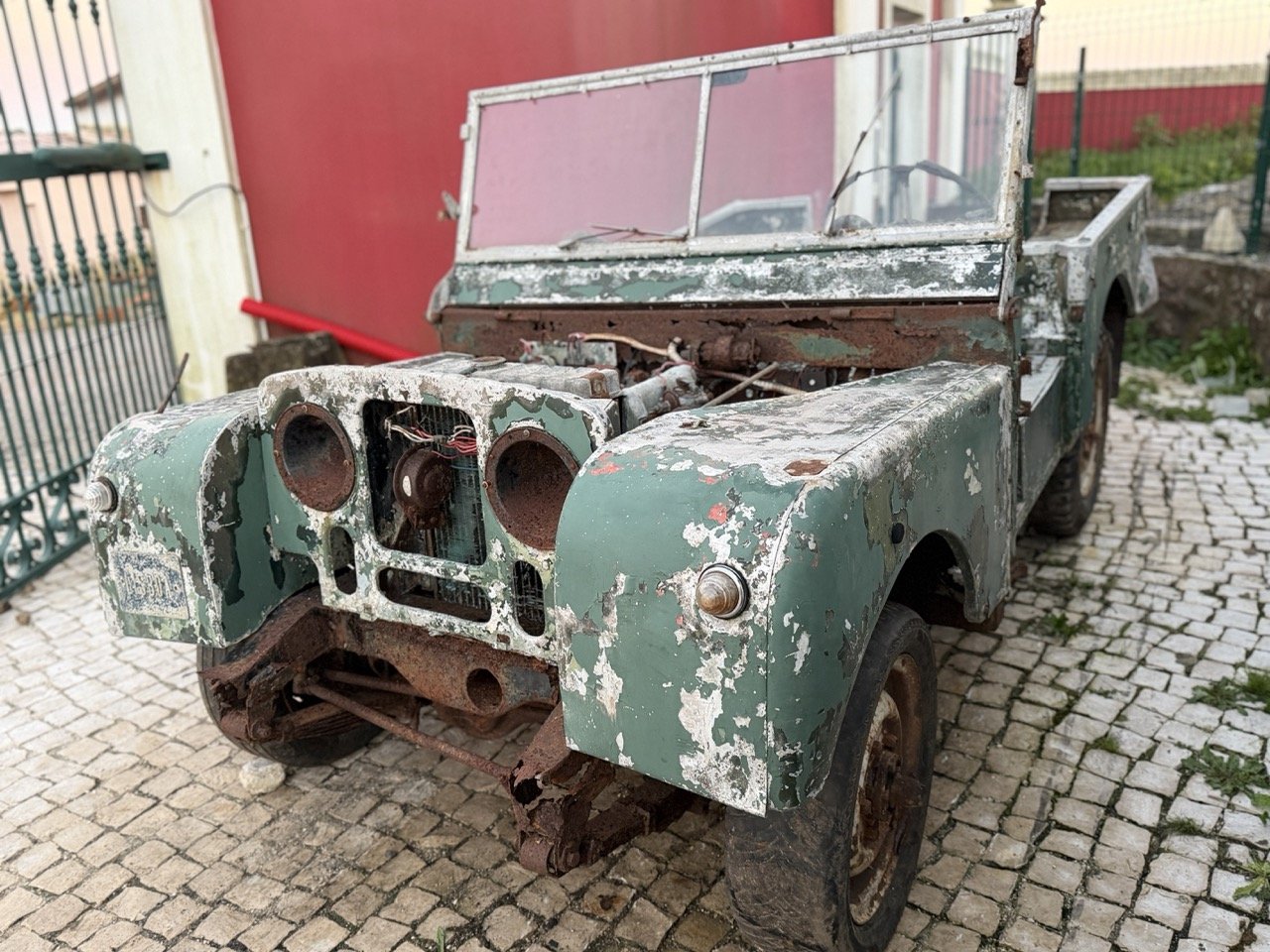 IMG_7428 – grande.jpeg