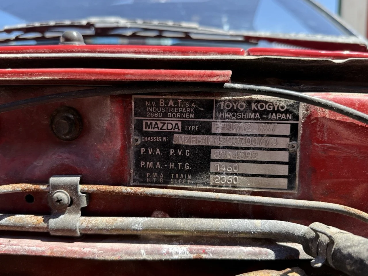 IMG_2055 – grande.jpeg