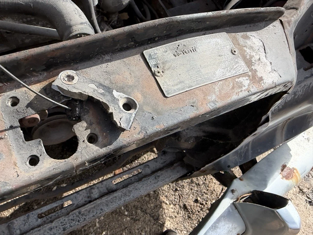 IMG_5254 – grande.jpeg