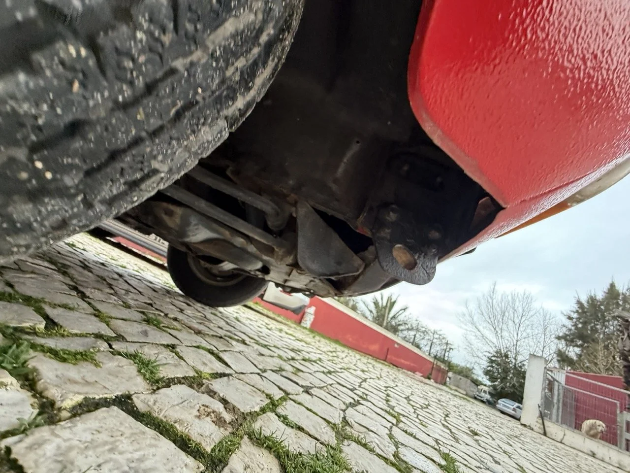 IMG_8295 – grande.jpeg