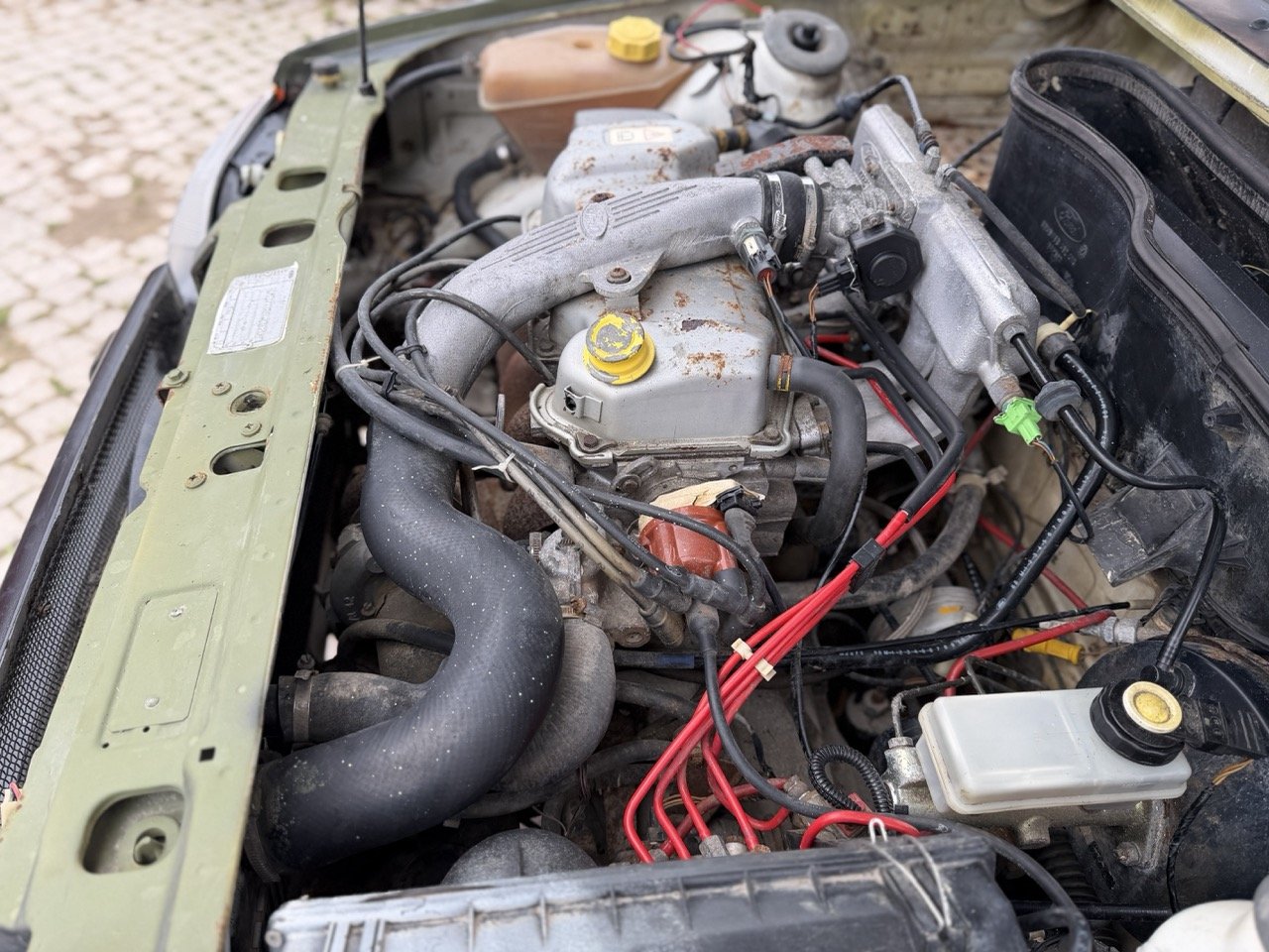 IMG_1350 – grande.jpeg