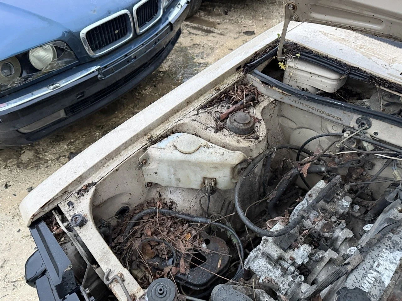 IMG_0246 – grande.jpeg