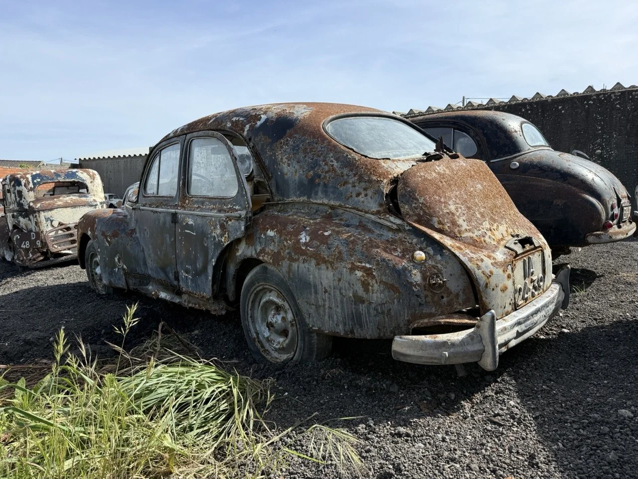 IMG_0391 – grande.jpeg