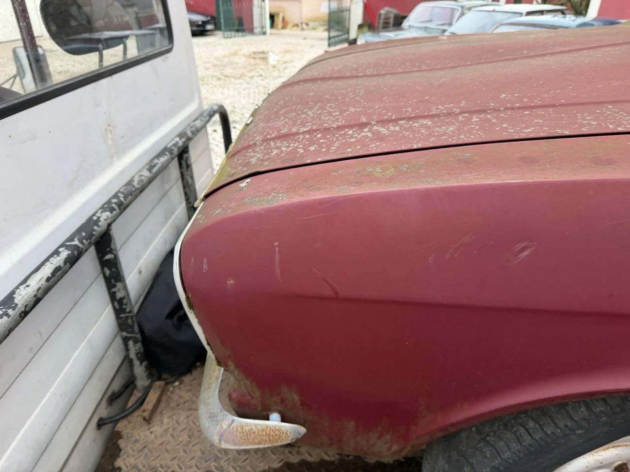 IMG_9008 – grande.jpeg