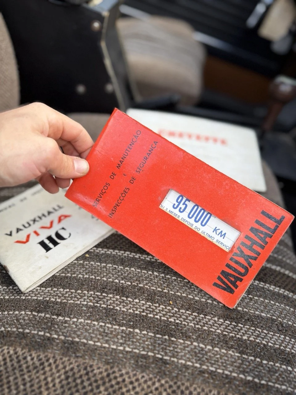 IMG_8736 – grande.jpeg