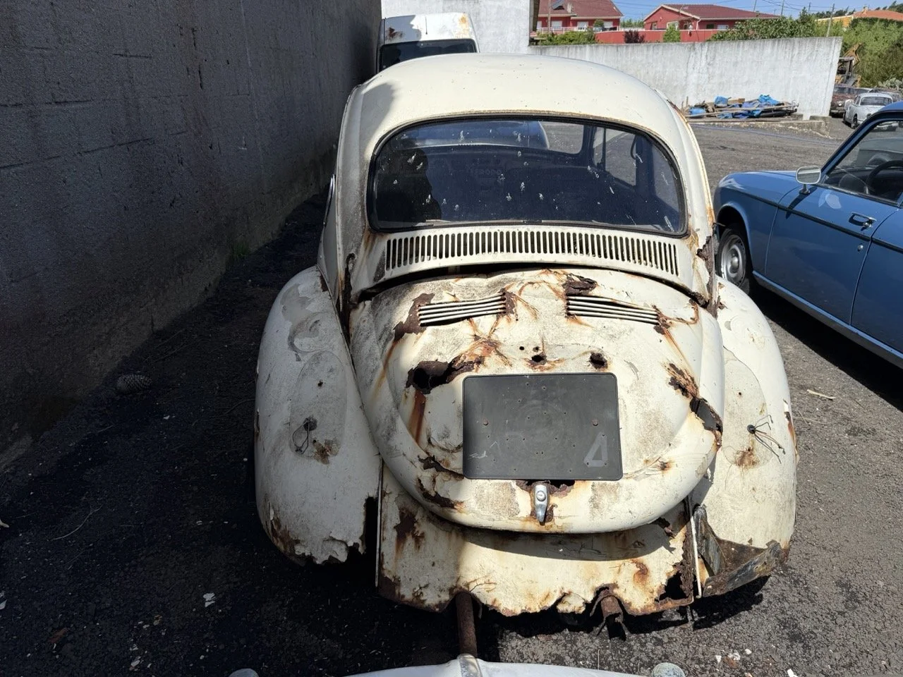 IMG_0635 – grande.jpeg