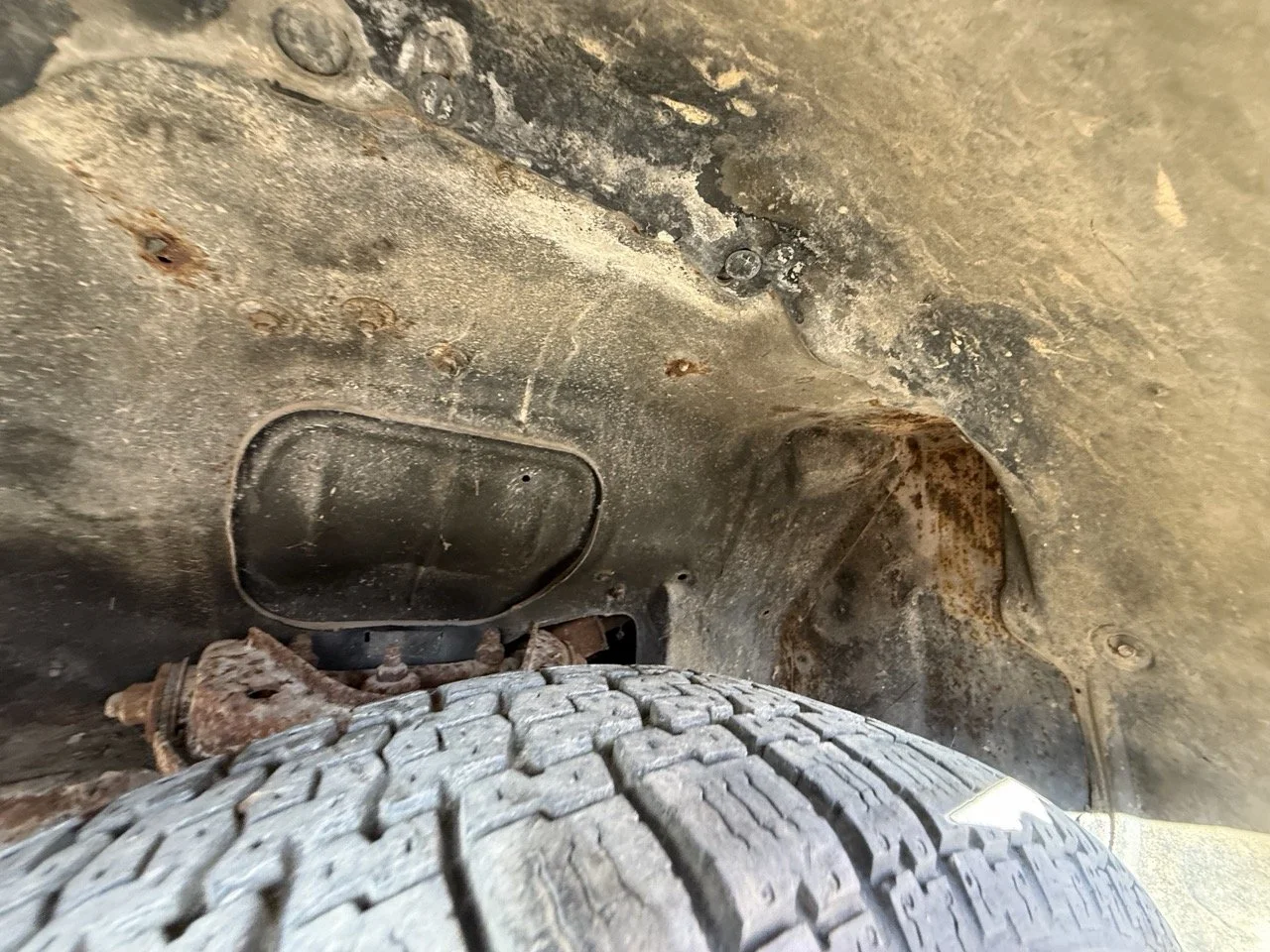 IMG_3065 – grande.jpeg