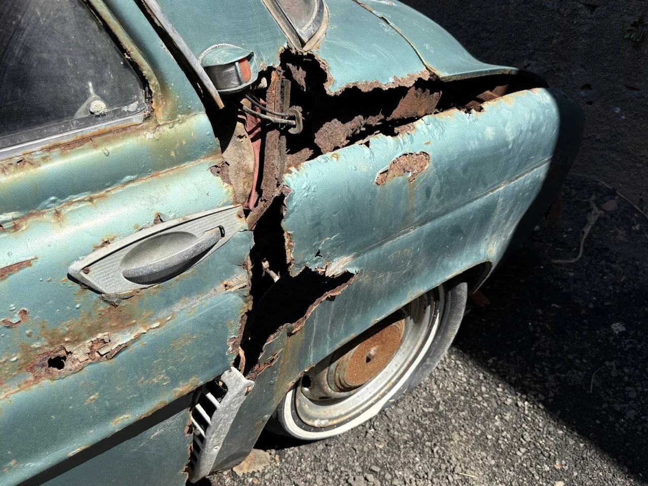 IMG_0879 – grande.jpeg