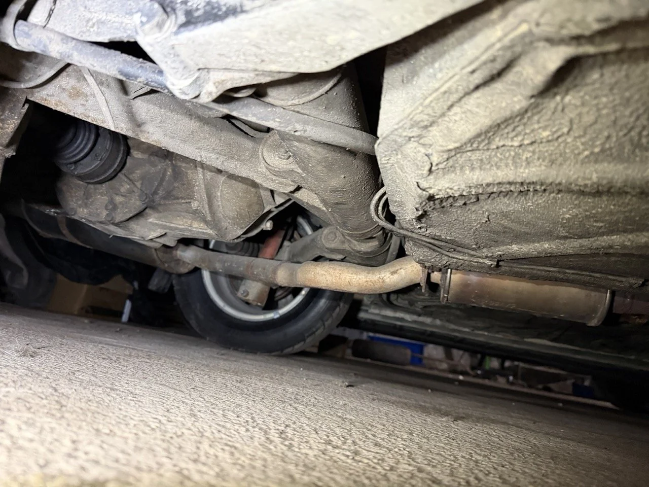 IMG_4814 3 – grande.jpeg